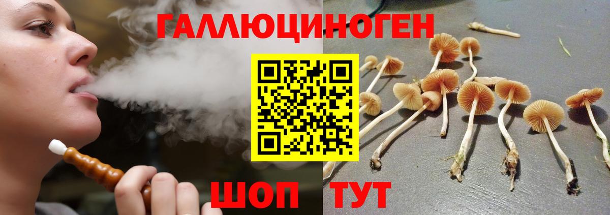Галлюциногенные грибы GOLDEN TEACHER Новочебоксарск